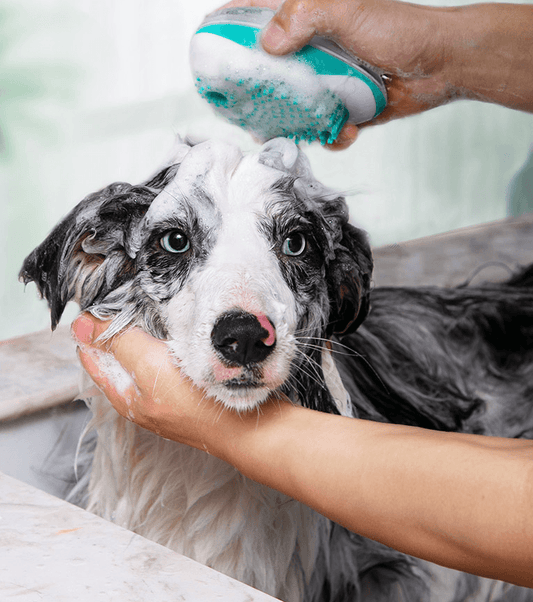 The Luxepaws Spagroom: 2-In-1 Pet Bath Massage Comb
